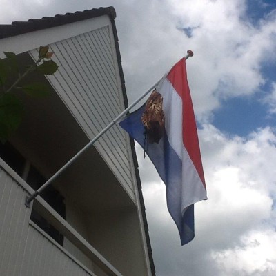 Geslaagd voor het examen !